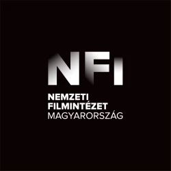 Átmeneti üzemmódba kapcsolt az NFI