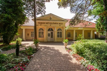 Balatonlelle mozitörténete